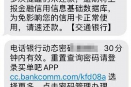 和布克赛尔如何避免债务纠纷？专业追讨公司教您应对之策