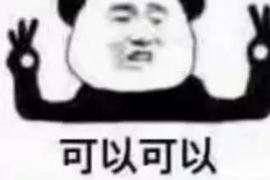 和布克赛尔和布克赛尔专业催债公司，专业催收